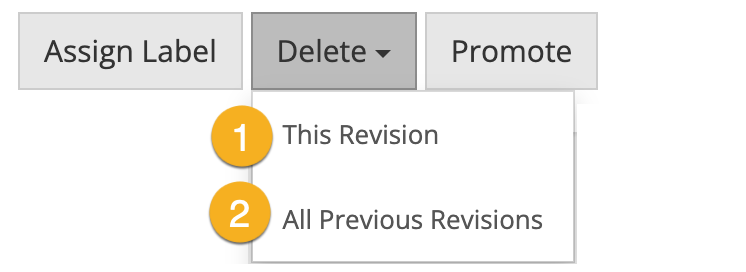 Delete Revision Options.png